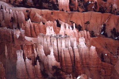 Painted columns of Bryce