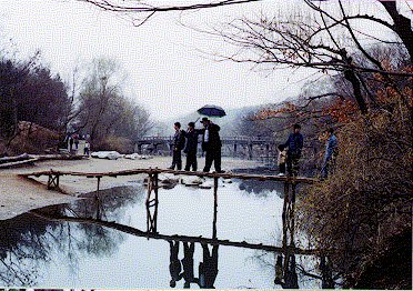 Three log bridge at Korean Folk village